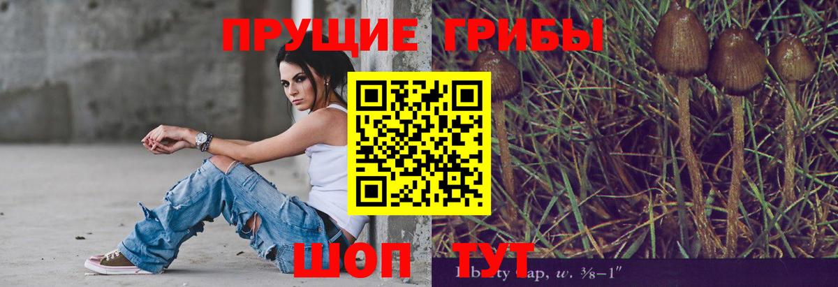 Галлюциногенные грибы Cubensis Ивантеевка